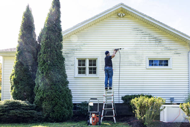 Best Driveway Pressure Washing  in Scott, LA